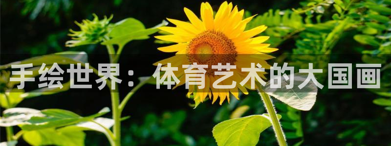oety欧亿体育官网下载招商电话号码：手绘世界：体育