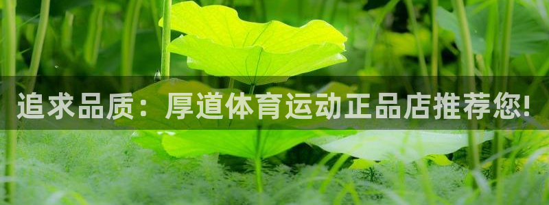 欧亿体育官方正版app集团官网网址：追求品质：厚道体