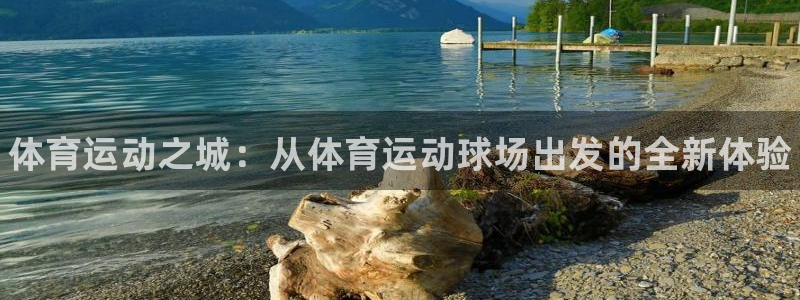 oety欧亿体育官网下载软件：体育运动之城：从体育运