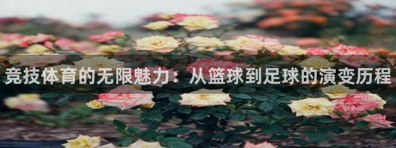 oety欧亿体育官网下载招商电话是多少：竞技体育的无