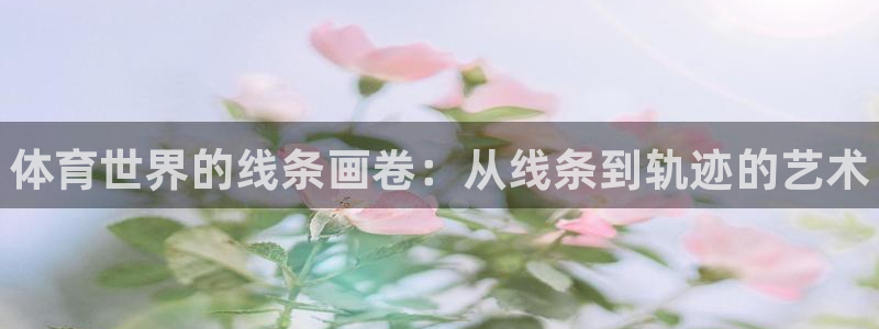 欧亿体育官方正版app代理：体育世界的线条画卷：从线