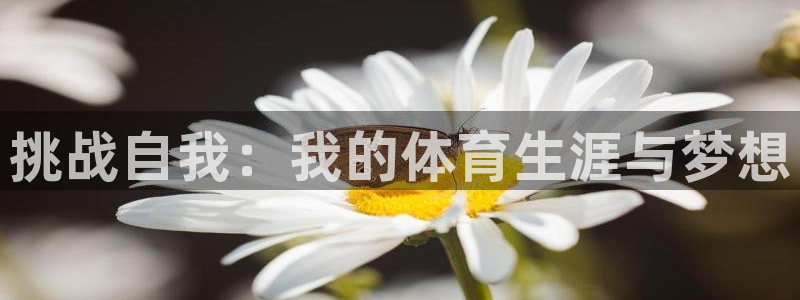 欧亿体育官方正版app娱乐代理怎么样