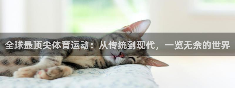 欧亿体育官方正版app集团官网网址：全球最顶尖体育运