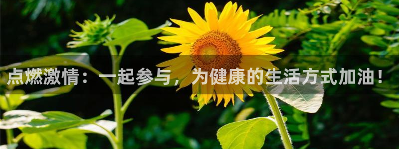 欧亿体育官方正版app娱乐首页网站大全：点燃激情：一起参与，