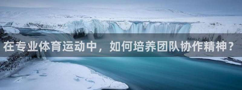 欧亿体育官方正版app集团：在专业体育运动中，如何培养团队协