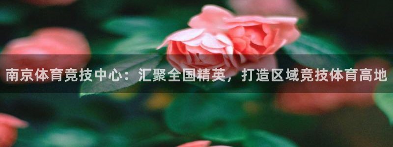 注册欧亿体育官方正版app：南京体育竞技中心：汇聚全国精英，