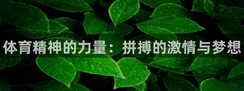 oety欧亿体育官网下载平台：体育精神的力量：拼搏的激情与梦