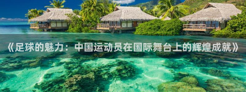 欧亿体育官方正版app集团：《足球的魅力：中国运动员