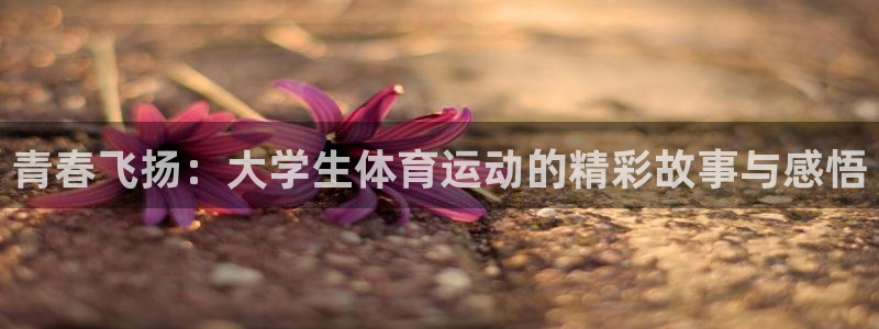 oety欧亿体育官网下载招商：青春飞扬：大学生体育运