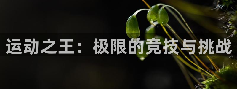 oety欧亿体育官网下载招商电话号码是多少