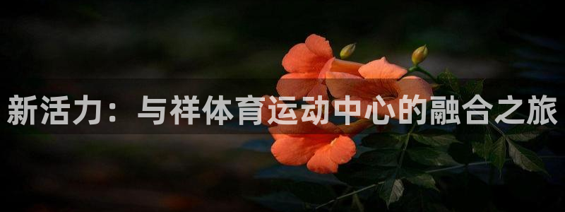 欧亿星灰泥：新活力：与祥体育运动中心
